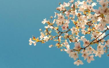 What’s On: April