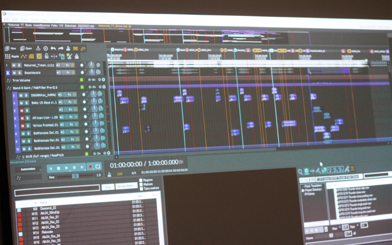 Snippet of Georges project which shows tracking channels in DAW software.